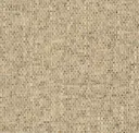 Plume Pumice