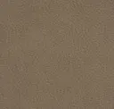 Tembo Plaster