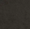 Tembo Gunmetal