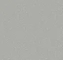 Ice Grey