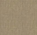 Asawa White