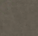 Charcoal