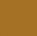 Golden Poppy