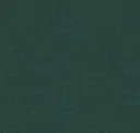 Verte