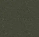 Olivine