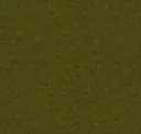 Moss