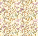 Scorpio