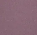 Plumsyke