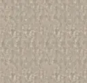 Steel