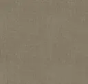 Sahara