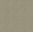 Sahara
