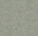 Z47826