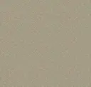 Sahara