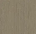 Sahara