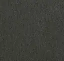 Charcoal