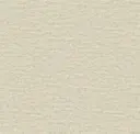 Shallow White
