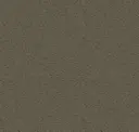 Steel