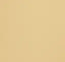 Parchment