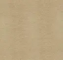 Vanilla
