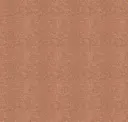 Petal