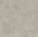 Frost