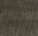 Chinchilla