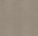 Putty