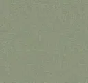 Palm
