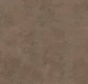Safari
