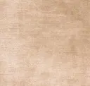 Antelope