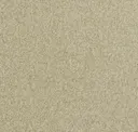 Raffia