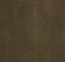 Copperhead