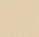 Eggshell