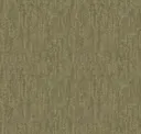 Moss