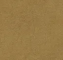 Ecru