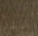 Macadamia