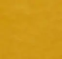 Mustard Seed