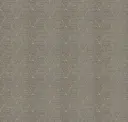 Pebble