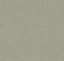 Nickel