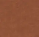 Spice