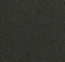 Carbon