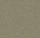 Flax
