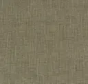 Fossil