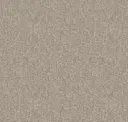 Chinchilla