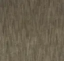 Otter