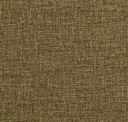 Vicuna