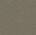 Sesame