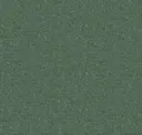 Seamoss
