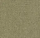 Biscuit