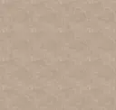 Kangaroo